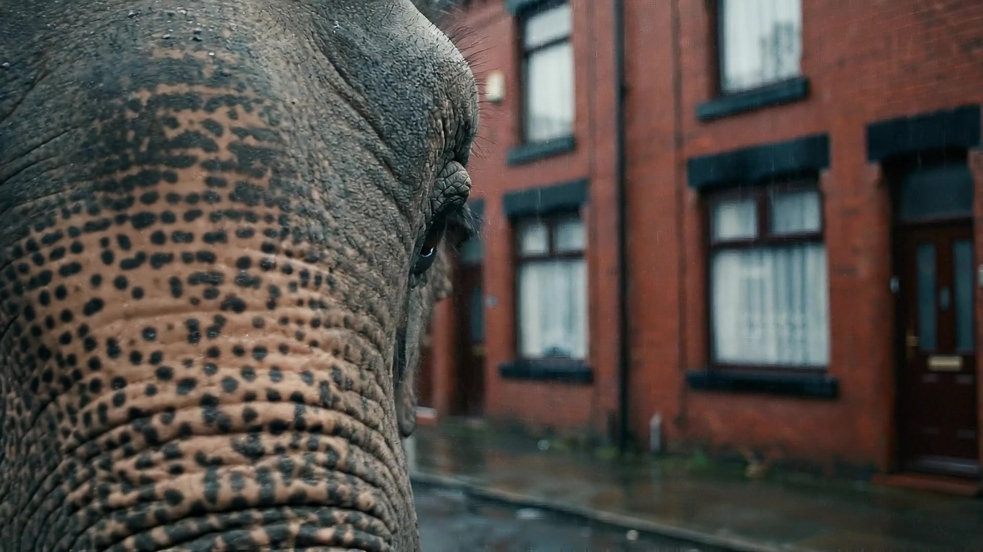 Canto I: Ambush — film still