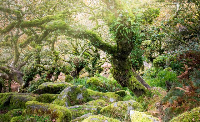 Landscape photograph by Billy Dosanjh, selected for Earth Photo 2023